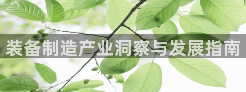 彩神怎么样可以提现：装备制造产业洞察与发展指南