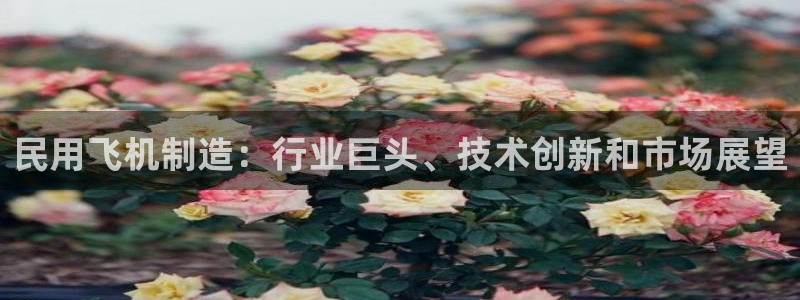 彩神是什么平台：民用飞机制造：行业巨头、技术创新和市场展望