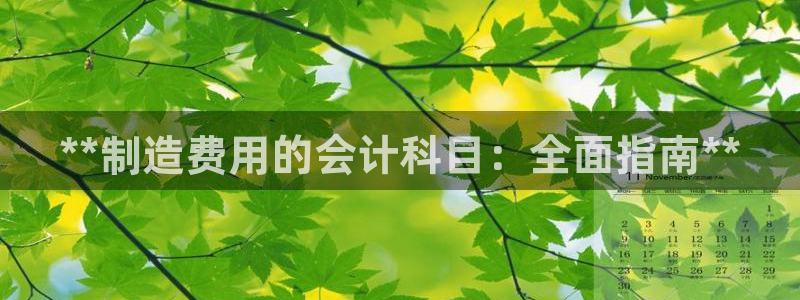 彩神V8平台：**制造费用的会计科目：全面指南**