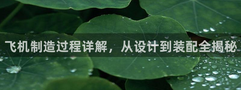 彩神v8是真的挣钱吗知乎：飞机制造过程详解，从设计到装配全揭秘