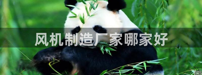 彩神V集团公司：风机制造厂家哪家好