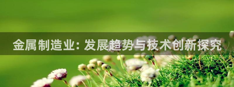 彩神v8有多久了?靠谱吗：金属制造业: 发展趋势与技术创新探