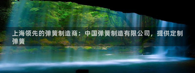 大发彩神最高邀请码：上海领先的弹簧制造商：中国弹簧制造有限公司，提供定制
弹簧