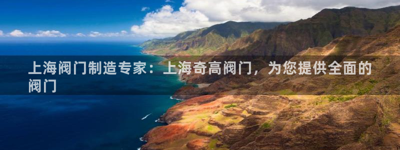 彩神vip购彩：上海阀门制造专家：上海奇高阀门，为您提供全面的
阀门