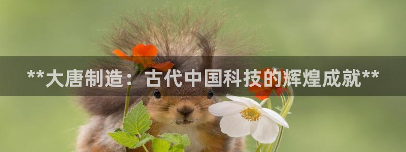 彩神v争霸有限公司：**大唐制造：古代中国科技的辉煌成就**
