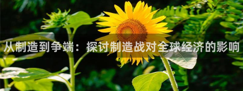 彩神8彩平台官网：从制造到争端：探讨制造战对全球经济的影响