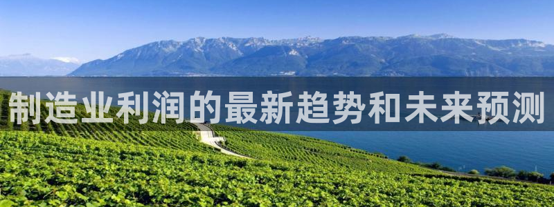 彩神v8是真的挣钱吗安全吗：制造业利润的最新趋势和未来预测