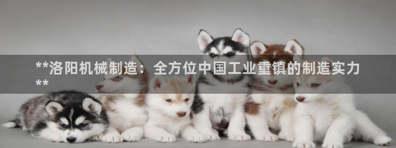 彩神官方邀请码是多少：**洛阳机械制造：全方位中国工业重镇的制造实力
**