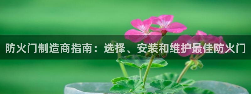 彩神v8是一个什么平台游戏：防火门制造商指南：选择、安装和维护最佳防火门