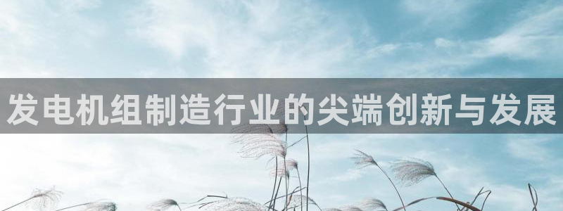彩神vi官网版：发电机组制造行业的尖端创新与发展