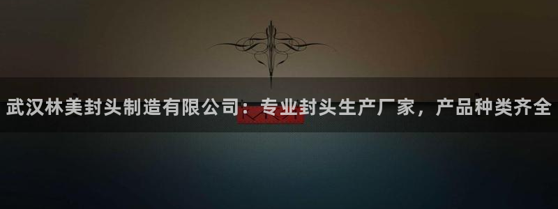 彩神v争霸是啥：武汉林美封头制造有限公司：专业封头生产厂家，产品种类齐全