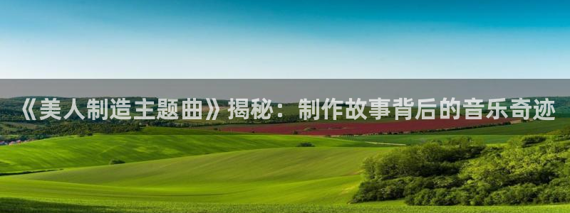 彩神网合法吗