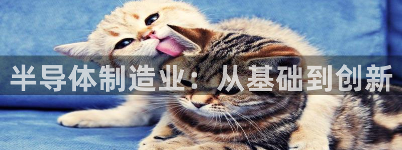 彩神8是正规平台吗安全吗：半导体制造业：从基础到创新