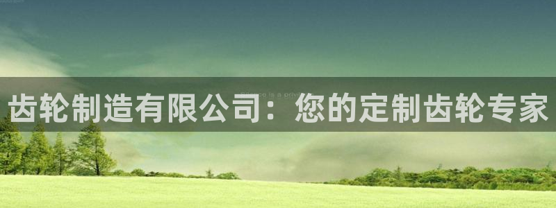 彩神v8是真的挣钱吗知乎：齿轮制造有限公司：您的定制齿轮专家