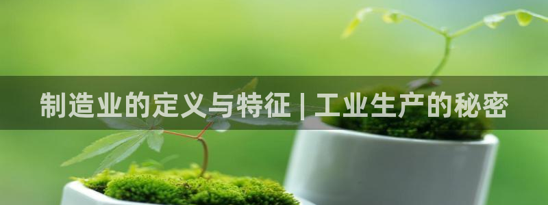 彩神赢钱了吗：制造业的定义与特征 | 工业生产的秘密