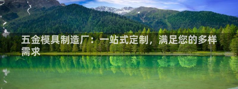 彩神网可以赚钱是真的吗：五金模具制造厂：一站式定制，满足您的多样
需求