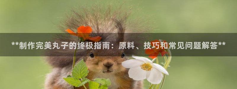 彩神新微聊：**制作完美丸子的终极指南：原料、技巧和常见问题解答**