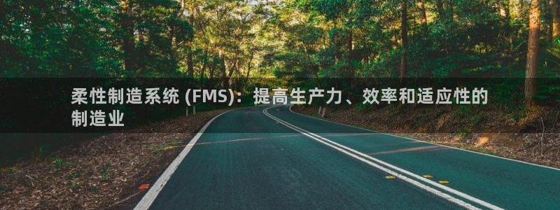 彩神vii购彩l心：柔性制造系统 (FMS)：提高生产力、效率和适应性的
制造业