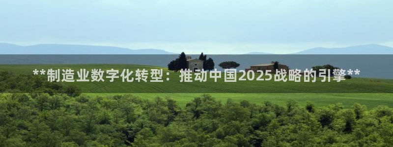 大发彩神争：**制造业数字化转型：推动中国2025战略的引擎**
