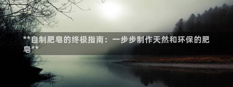 彩神是怎样一个平台赚钱的：**自制肥皂的终极指南：一步步制作天然和环保的肥
皂**