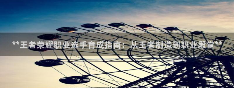 彩神争霸平台：**王者荣耀职业选手育成指南：从王者制造到职业殿堂**