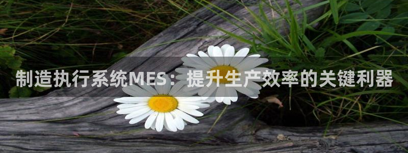 天天赢彩神：制造执行系统MES：提升生产效率的关键利器