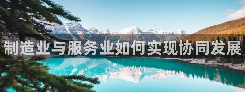 彩神V集团公司：制造业与服务业如何实现协同发展
