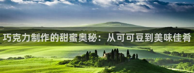 大发彩神最高邀请码：巧克力制作的甜蜜奥秘：从可可豆到美味佳肴