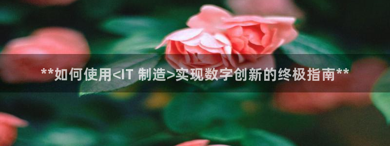 彩神网合法吗：**如何使用<IT 制造>实现数字创新的终极指南**