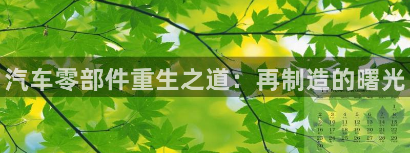 彩神vi官网版：汽车零部件重生之道：再制造的曙光
