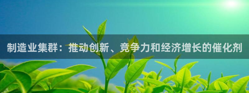 彩神ll能赚钱吗：制造业集群：推动创新、竞争力和经济增长的催化剂