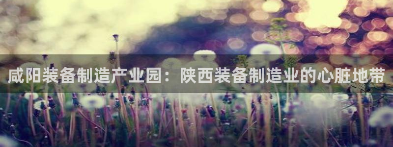 彩神是正规平台吗是真的吗：咸阳装备制造产业园：陕西装备制造业的心脏地带
