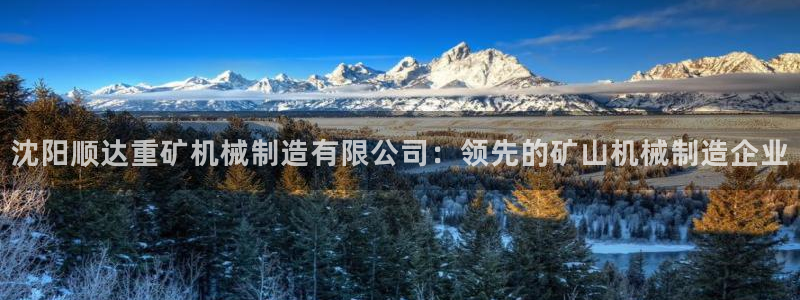 彩神Vll购彩大厅：沈阳顺达重矿机械制造有限公司：领先的矿山机械制造企业