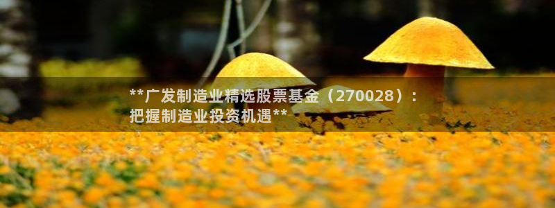 彩神vⅲ下载安装：**广发制造业精选股票基金（270028）：
把握制造业投资机遇**