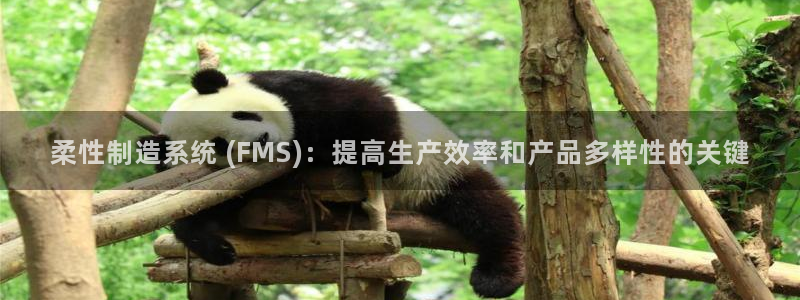 大发彩神争：柔性制造系统 (FMS)：提高生产效率和产品多样性的关键