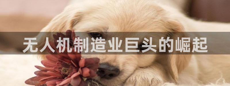 所有彩神购买首页都一样吗：无人机制造业巨头的崛起