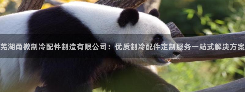 彩神vll趣投彩：芜湖甬微制冷配件制造有限公司：优质制冷配件定制服务一站式解决方案
