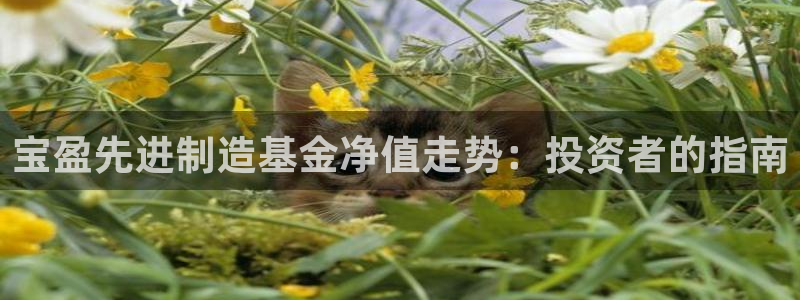 彩神V集团公司：宝盈先进制造基金净值走势：投资者的指南