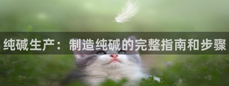 彩神v争霸是啥