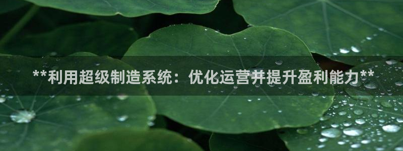彩神vip官方网站： **利用超级制造系统：优化运营并提升盈