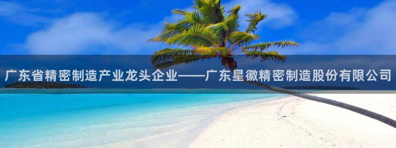 彩神v8下载app：广东省精密制造产业龙头企业——广东星徽精