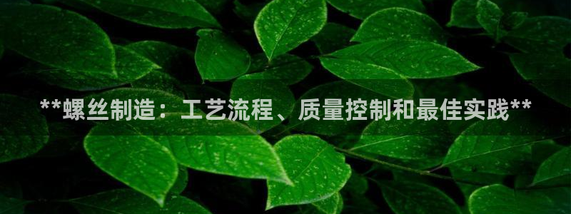 彩神vlll官网网上购彩：**螺丝制造：工艺流程、质量控制和最佳实践**