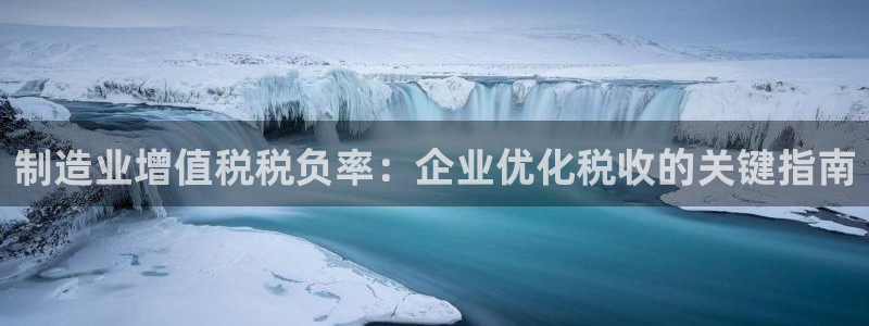 下载彩神乐发V1：制造业增值税税负率：企业优化税收的关键指南